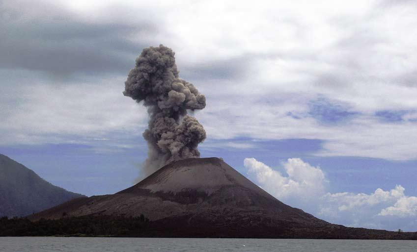 The Seashore Life of the Brunei Heart of Borneo Krakatoa in Feb 2008 still showing extensive ash deposits that smother previous vegetation and allows seaborne seeds to take hold (Ref W28f). eruptions.