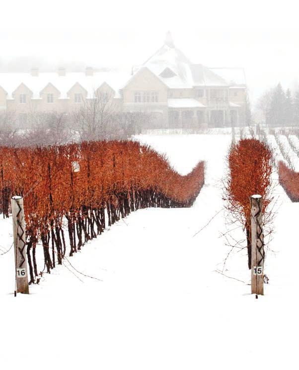 Niagara-on-the-Lake ranked Canada s #1 Food and Wine