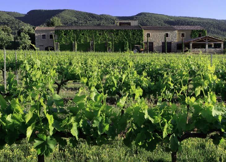 Nestled in a 57-acre vineyard, the Domaine de Marie s wine cellar gives you the opportunity to