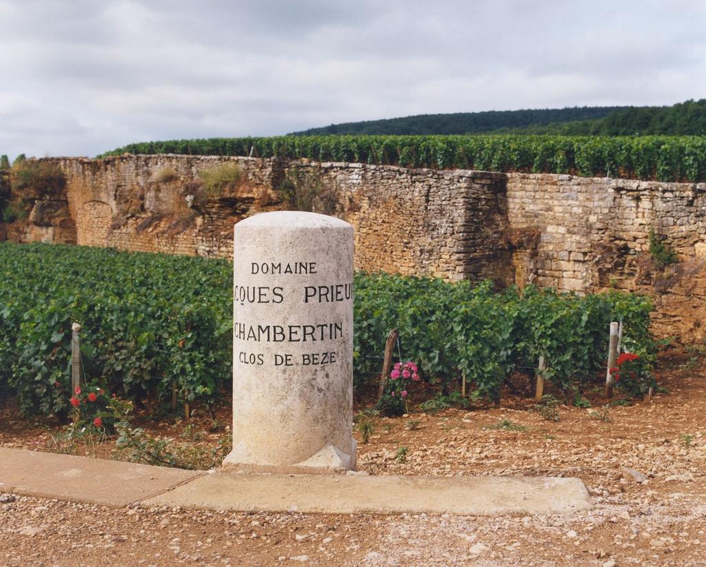 DOMAINE JACQUES PRIEUR Throughout most of the Côte d Or, you are never more than a stone s throw from a Domaine Jacques Prieur vineyard.