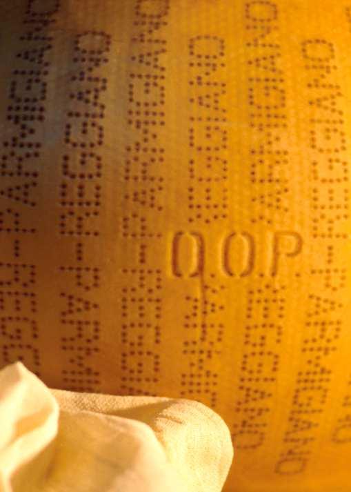CONSORZIO TODAY 100% of the dairies producing Parmigiano Reggiano are members of the Consortium Voluntary not-for-profit body in charge of the protection,