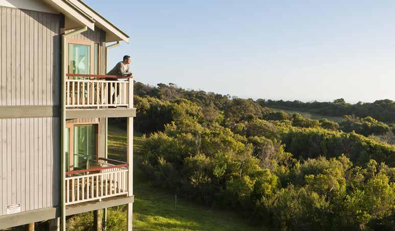 TEAM BUILDING ACTIVITIES LOCAL ATTRACTIONS DESTINATION EXPERIENCES Set amid some of the most breathtaking scenery in Victoria, RACV