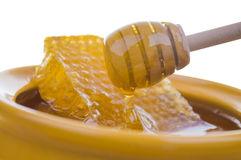Honeys in ND