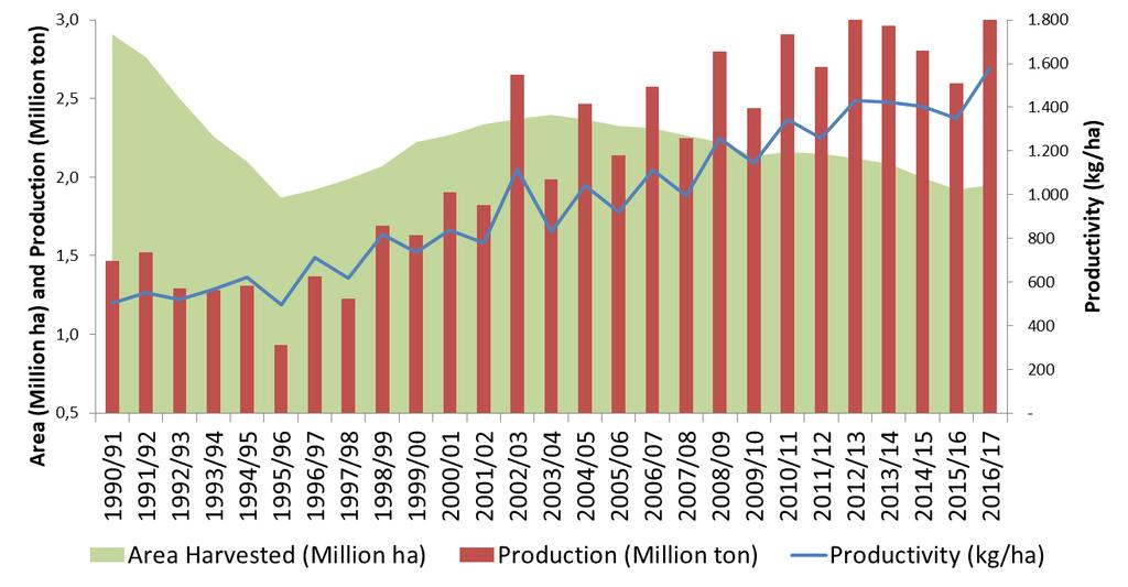 Substantial Productivity Increase SEASON 1996/97: + 100% Production: 25 M. bags - 35% Area: 2.9 M.