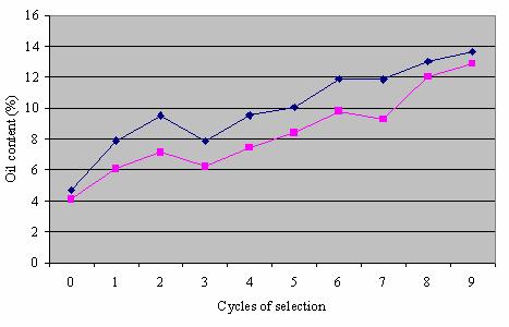Z. PAJIĆ: BREEDING OF MAIZE TYPE WITH SPECIFIC TRAITS 173 therefore a satisfying response to selection can be expected in the subsequent cycles of selection. DS7u YuSSSu Figure 1.