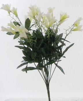 lily bush x 12 white 4.