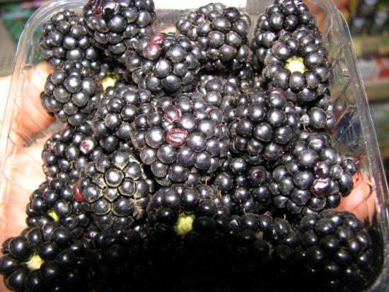 Bramble Berries Blackberries Fruit has a solid central core when