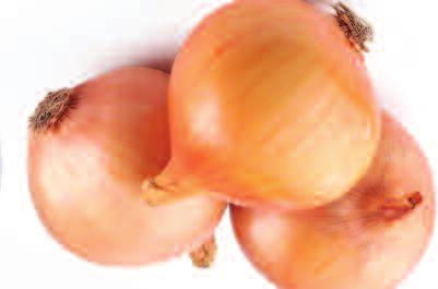 Onions CEBOLLA