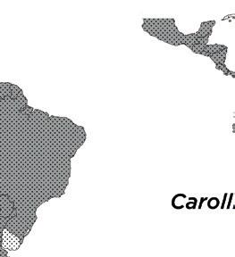 Neotropical region. Sources: bat distribution follows Gardner (2008); plant distribution follows Jaramillo & Manos (2001) for Piper; Knapp et al. (2004) for Solanum, Lobova et al.
