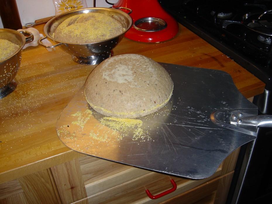 Shaped loaf in a colander. Finally, loaves must be shaped. Clear the flour from an area of the counter and moisten the counter surface with some water so that the dough sticks to it.
