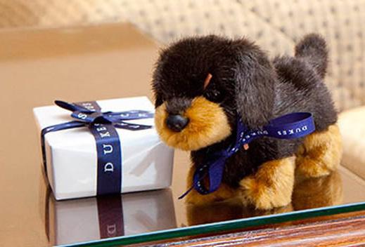 The Perfect Christmas Gift Find the perfect gift voucher at DUKES LONDON offering an