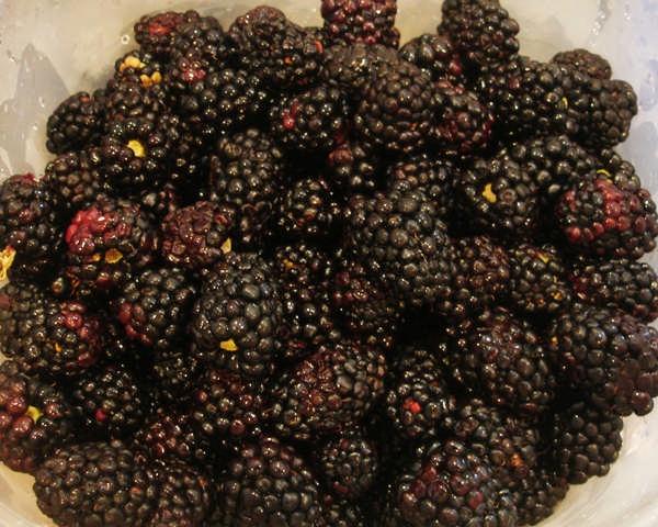 The yield from this recipe is about 8 eight-ounce jars (which is the same as 4 pints). Step 1 - Pick the berries!