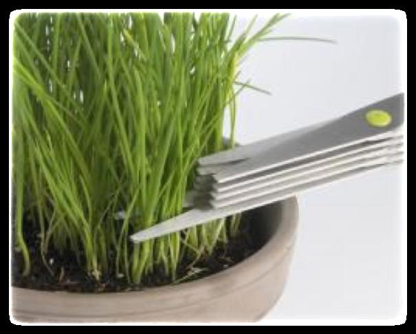 Smart: herb stripper function (thyme, rosemary, tarragon, etc.