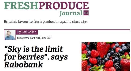 Conclusion The UK market for berries has grown because: The consumer sees and buys consistently