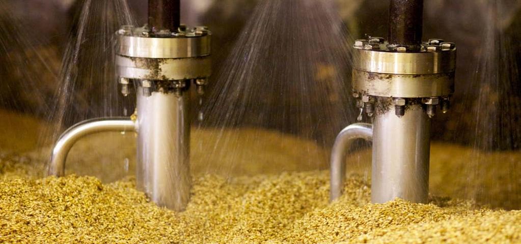 MALT CHARACTERISTICS Different raw materials and processing conditions produce remarkable differences in the brewing characteristics of malts and the nature of the final product.
