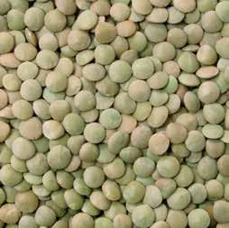 The name comes from its distinct shape two lens-shaped sides and their light red tint. They are slightly sweeter than regular lentils and cook a tad faster.