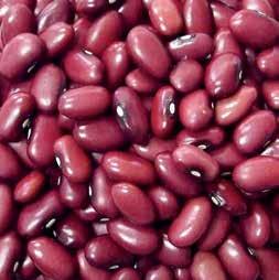 They are primarily found in pork and beans but can also be used in soups and salads.