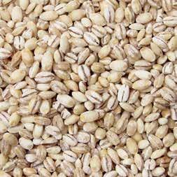 California. This nutty flavored rice is used as a substitute for Calrose rice in a variety of sushi dishes.