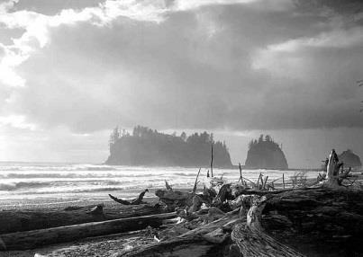 Quileute Villages Summer villages were established on the coast, for fishing and whaling.