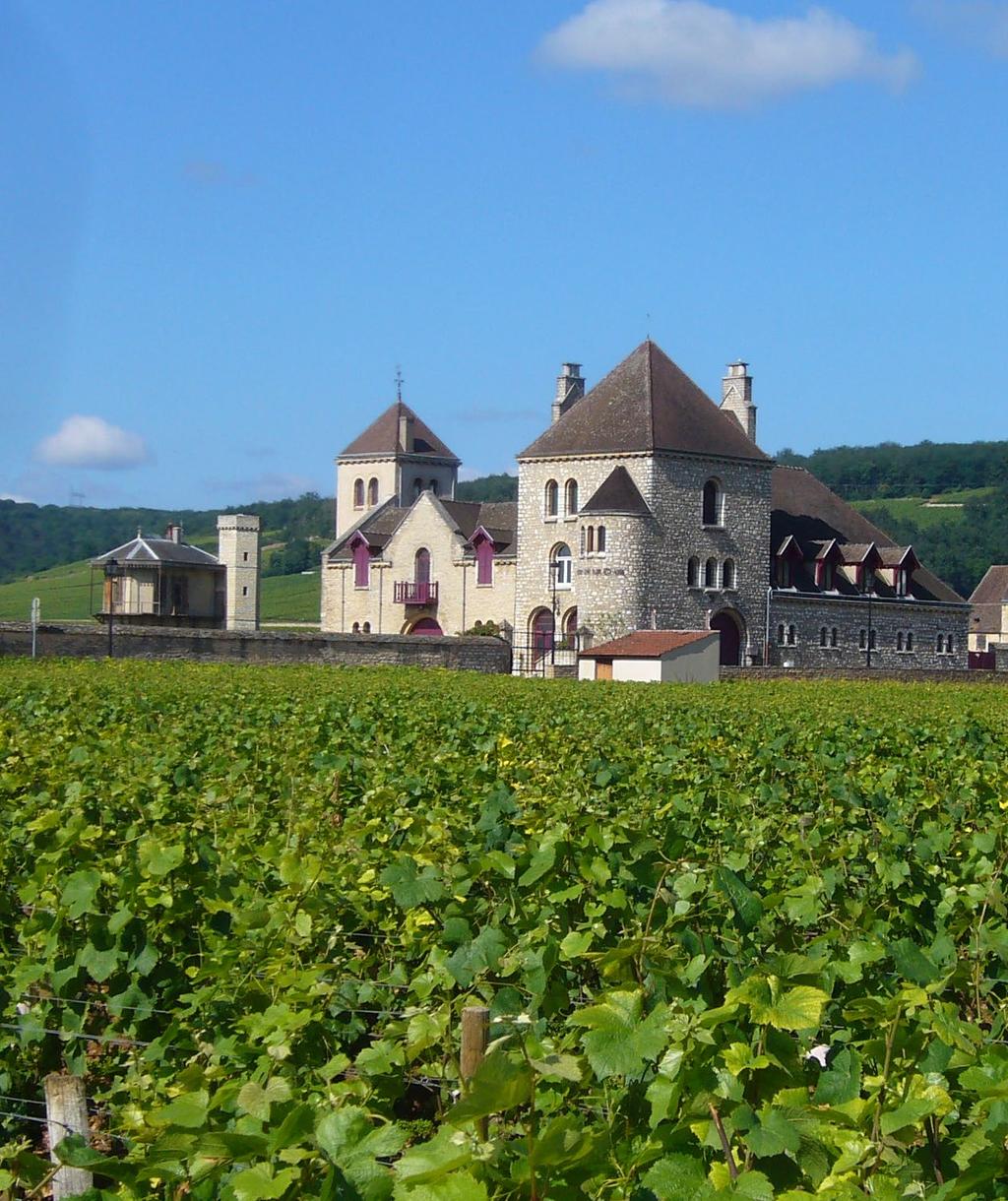 CHÂTEAU DE LA TOUR 10 Château de la Tour, established in 1890, is the largest proprietor of the Clos-Vougeot, owning some five and a half hectares of the total 50 designated grand cru.