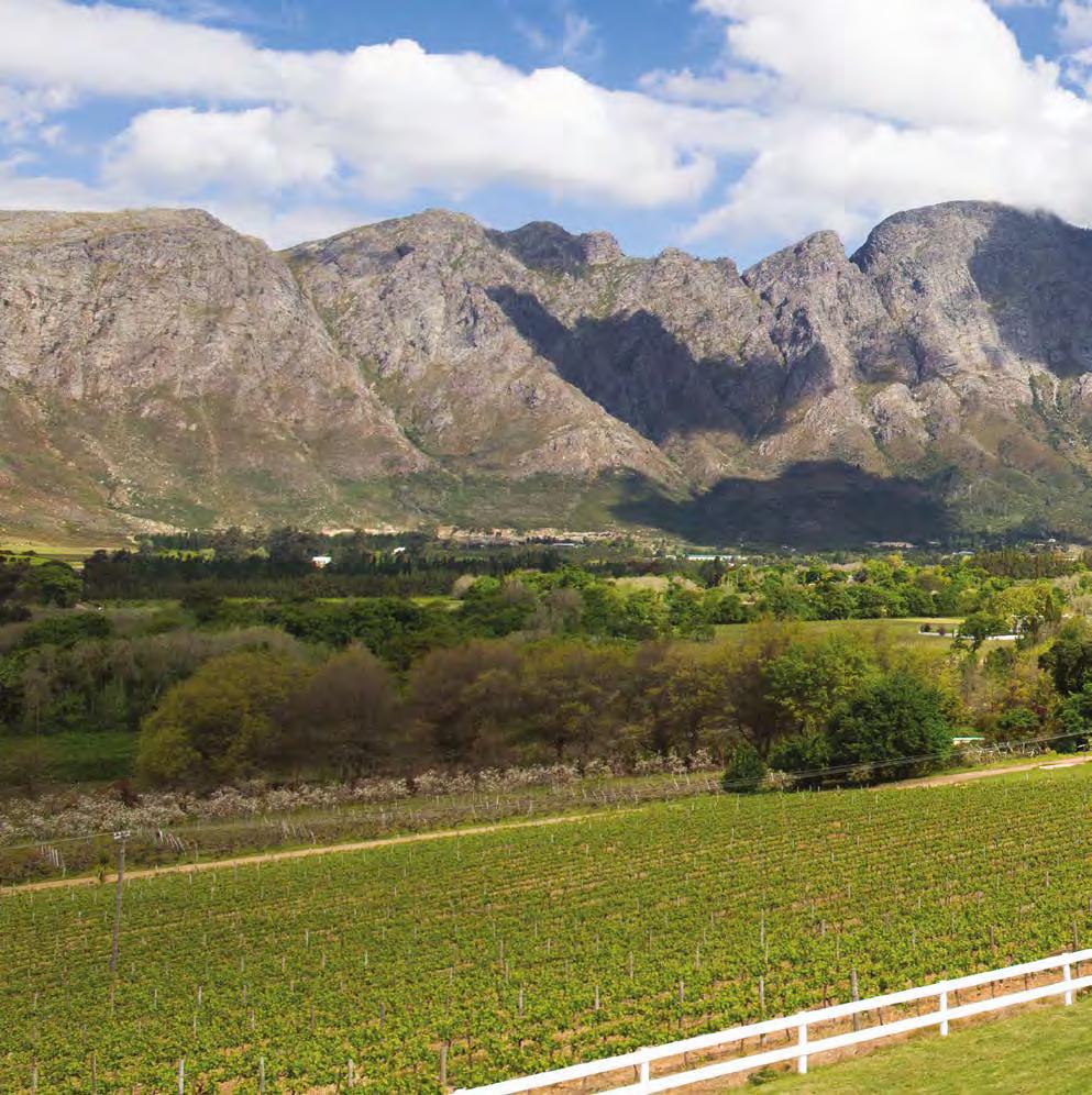 WELCOME Welcome to Mont Rochelle, a stunning 26-bedroom hotel and vineyard just under an hour s drive from Cape Town in the town of