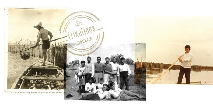 TRIKALINOS Story, Timeline- Milestones-Award 1856 The three Trikalinos brothers, Zafeiris, Nikos and Giorgos started Grey Mullet Avgotaraho production and trade in Etoliko.