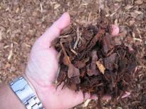Use organic mulch (bark, wood chips,