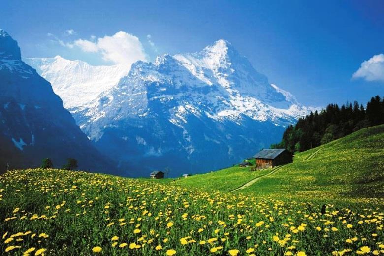 BUT ABOVE ALL BECAUSE you can take splendid walks from the hotel and fill your lungs with fresh mountain air you can admire the North Face of the Eiger from our terrace or lounge during coffee breaks