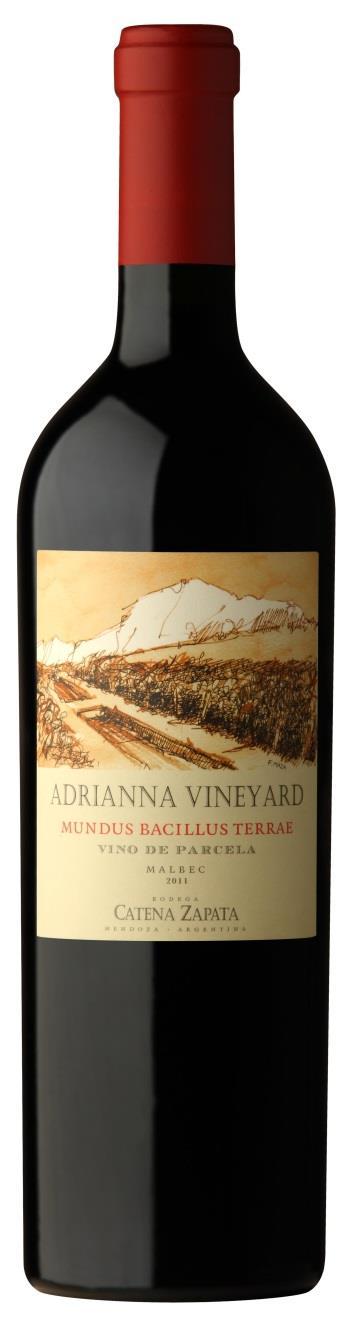 ADRIANNA VINEYARD MUNDUS BACILLUS TERRAE MALBEC: 1,4 HA part of lot 3. Availability 660 cases x 6 bottles. 100% Malbec 1.450 m.a.s.l.. Aging:24 months in barrel, oak treatment is decided according to the vintage characteristics.