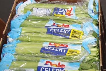 CV ASPARAGUS CV CUCUMBERS CV CELERY Asparagus is in steady supply this week out of Peru. Mexico has also started to ship product into the U.S. Most of the Mexican product will stay west as the freight cost will put it at a disadvantage against the Peruvian product.