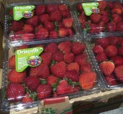 Clementines Import 10/3 lb 10161 - CV Raspberries Sunshine Driscoll s 12/6 oz 10160 -