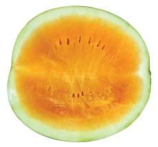 Avg 28 ct 12035 - CV Watermelon Seeded Bin 20lb Avg 35 ct CONVENTIONAL ORGANIC 44530 -