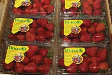 CV STRAWBERRIES We should see Strawberry prices stabilize this week, but the fruit remains very promotable.