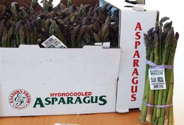CV ASPARAGUS We will continue to source Asparagus both domestically and off shore.