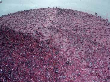 Harvest & Fermentation Analyses Enartis Vinquiry offers a complete range of analytical, microbiological, and consulting services for winemaking.