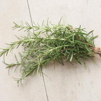 Rosemary Pine-scented, savory, culinary favorite.