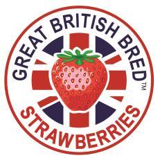 Some Fruit Facts Strawberry Plants are of the genus Fragaria, grow close to the ground and produce trifoliate leaves from a central crown.