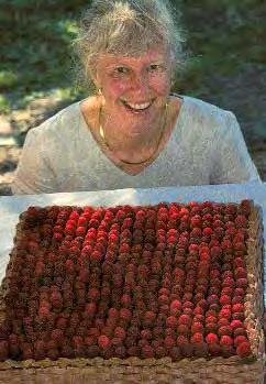 April Doolittle smiles at the perfectly aligned everbearing raspberries (she got plants from Raintree) on her son Peter s wedding cake.
