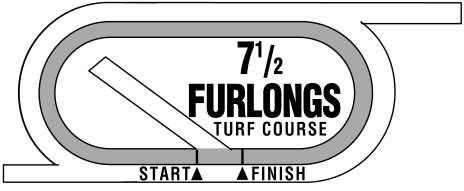 7 Turf Paradise Alw 14000N2L 7ô Furlongs (Turf). (1:27 ) ALLOWANCE. Purse $14,000 (PLUS UP TO 10% Plus 10% ) For Three Year Olds And Upward Which Have Never Won Two Races. Three Year Olds, 122 lbs.