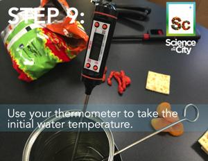STEP #9: Prepare your skewer Use the skewer.