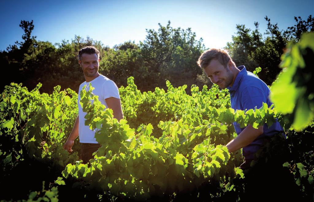 On the other hand, Yannick Alliaud, a fifth-generation winegrower, cultivates 40 hectares of vineyards next to Châteauneuf de Gadagne with rigour, patience