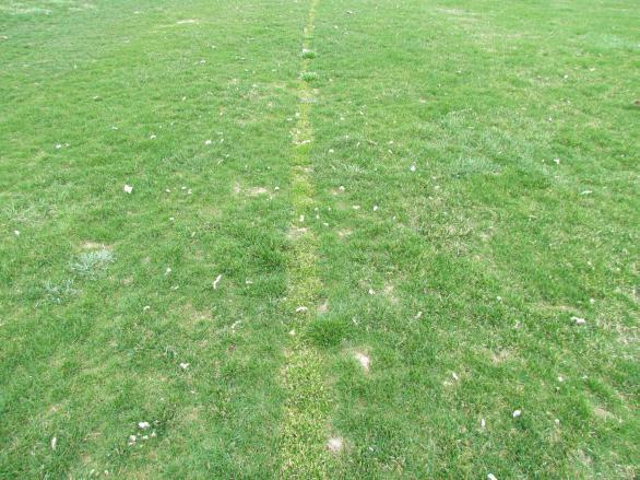 Herbicides will cause you problems if you intend to establish (seed, spring, sod) turf in the future. Know the restrictions before you proceed! Poa annua control in cool-season turf?