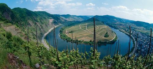 cover: The Mosel Anbaugebiet in
