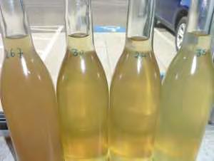 28 03/06/2015 VinoClear Classic: trials results Vinoclear Classic degraded all of the pectin (Juice tested pectin negative). The must is very well clarified. (Contact time 1.
