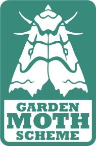 Identification of macro-moth families & sub-families Introduction This guide is intended for use by Garden Moth Scheme (GMS) recorders and other British and Irish moth enthusiasts who are using moth