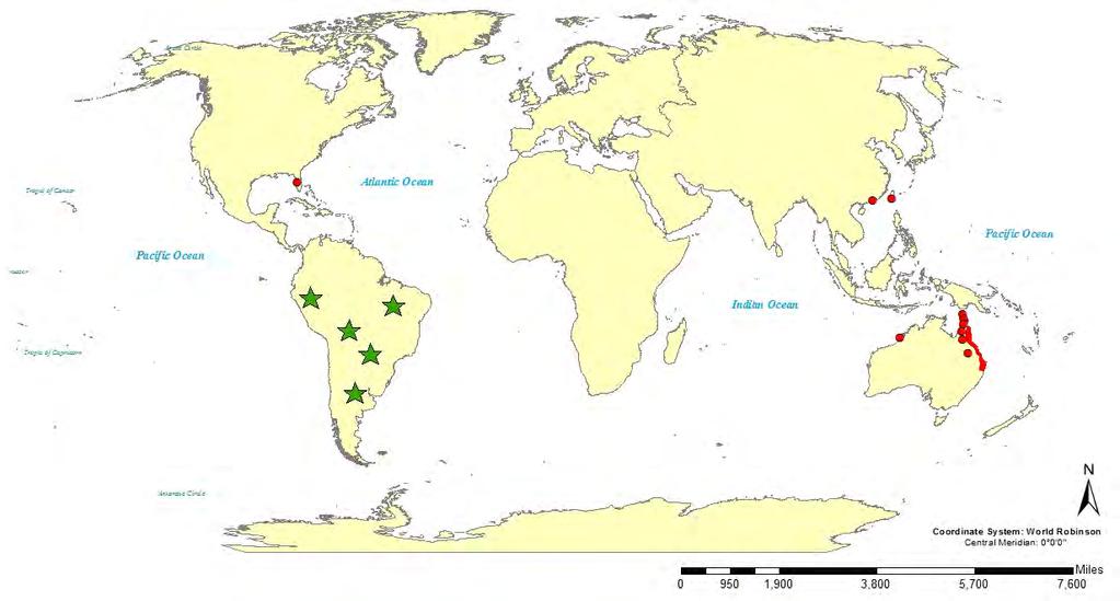 Praxelis clematidea Exotic Invasion Peru Bolivia Brazil Paraguay Argentina Estimated Native Range