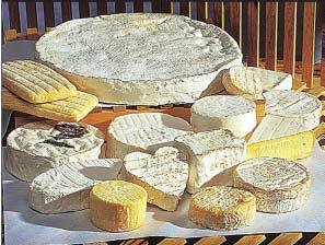 Maison Mons Fromager Affineur (France) Top cheeses set for Canada s tables The company sources 190 cheeses from 130 different farms and exports to over 25 countries, including Canada.