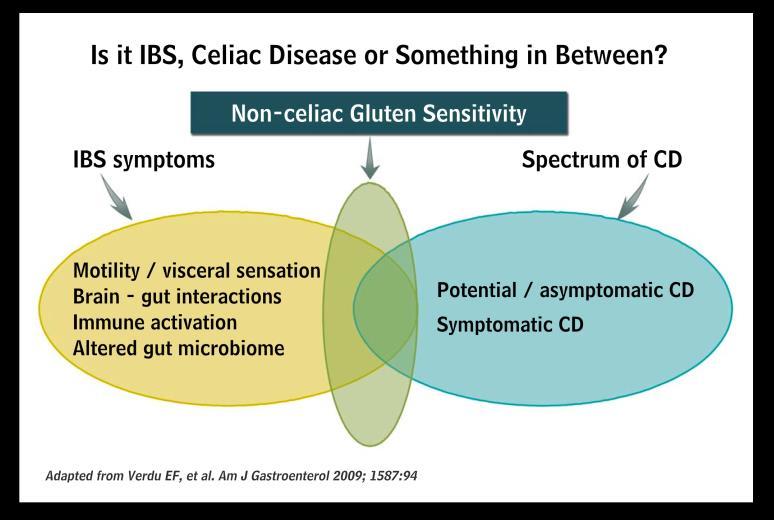 10 Risk of celiac disease and HLA status DR3- or DR5/7-90-95% DR4-5-10% Only HLA DQ2 or DQ8 positive subjects are at