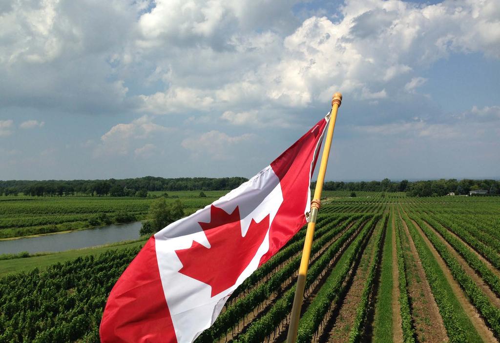 Canada is on the verge of breaking out big time on the world wine