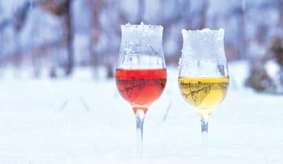 ICEWINE Canada is renowned for its premium Icewine, where winter s freezing temperatures concentrate the sugar, acid and berry extracts in the grape, resulting in sweet concentrated flavours, and